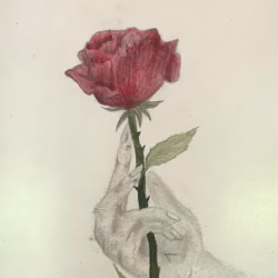 Expuesta / Violeta Mafla